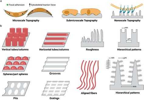 Topographic Surface 的图像结果