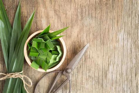 Pandan leaves: The vanilla-scented leaf quietly entering Indian desserts