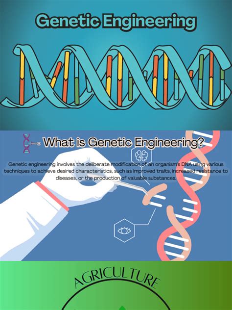 Genetic Engineering Presentation 的图像结果