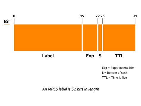 Image result for MPLS Explained