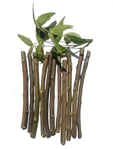 Buy Jeevan Ghutti Natural Organic Neem Datun Toothbrush Nim Tree Twigs ...