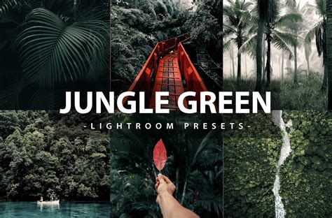 20 Stunning Green Lightroom Presets for Nature Photography