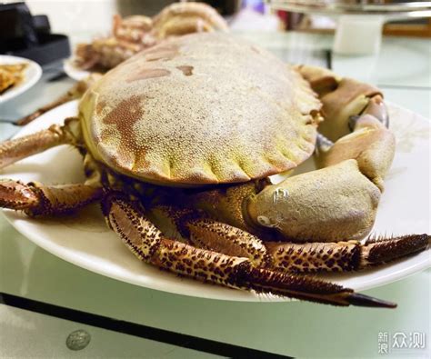 面包蟹几月份吃最好 2018面包蟹多少钱一斤_旅泊网