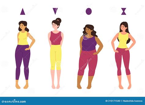 Cartoon Types of Female Body Shapes Collection Vector Illustration ...