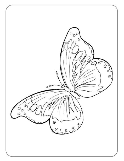 Free Printable Butterfly Coloring Pages For Kids Butterfly Coloring