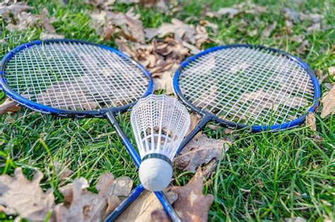 Badminton Racket and Shuttle 的图像结果