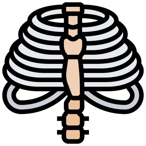 Thorax - Free medical icons