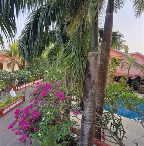 AGUADA ANCHORAGE - THE VILLA RESORT (Goa, India) - Hotel Reviews ...