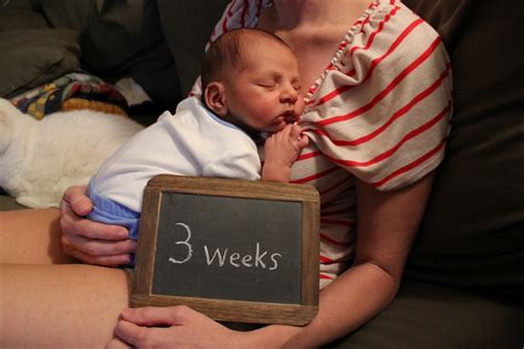 How Big Is A 3 Week Old Fetus at Ada Michalski blog