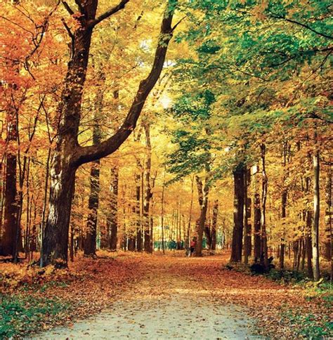 Des Plaines River Trail earns national recognition – Shaw Local