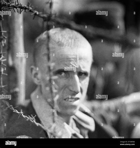 The Liberation of Bergen-belsen Concentration Camp, April 1945 Portrait ...