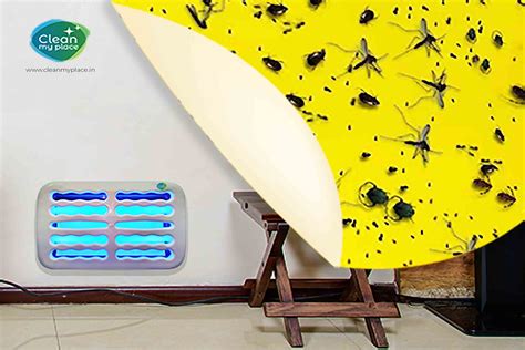 Home Deep Cleaning Services In India | CleanMyPlace