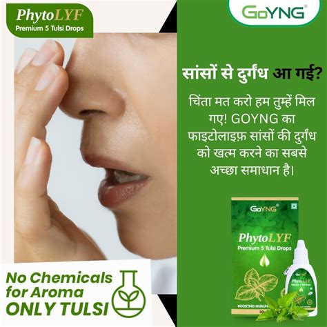 WellthyLife Rewards. Tulsi Drops: 5 Types of Panch Tulsi for Immunity ...