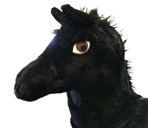 Pantomime 2 Person Horse Costume Black Stallion