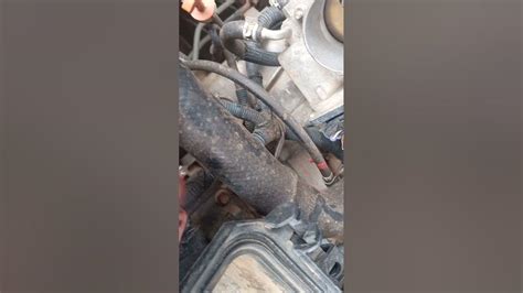 How to Fix Code P0123 的图像结果