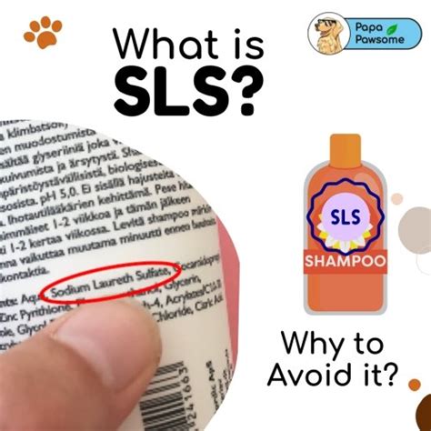Why SLS-Free Shampoos Lather Less, and Why They’re Better! – Papa Pawsome