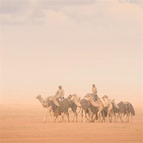 India remains a strong destination for outbound post COVID-19