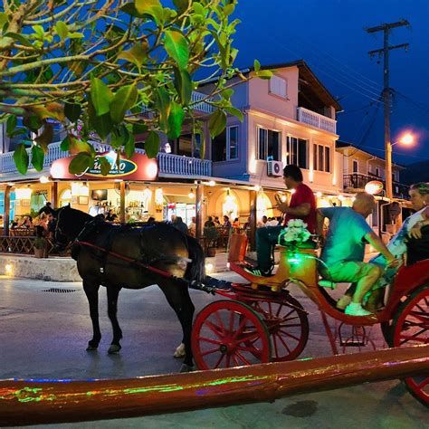 JUNGLE BAR CAFE (2025) All You Need to Know BEFORE You Go (with Photos ...