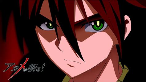 Tatsumi Akame Ga Kill