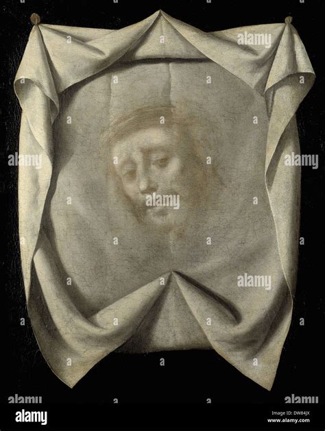 Veil of veronica hi-res stock photography and images - Alamy