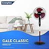 Buy Crompton HISPEED Gale Classic 400 mm Pedestal Fan | Superior Air ...