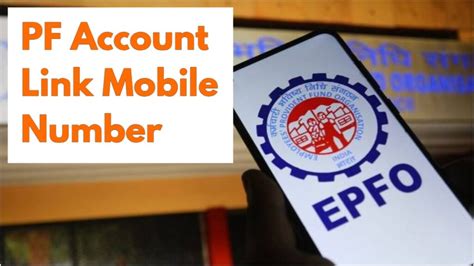 How to Update Your Mobile Number in EPF Account, Know Process - Times Bull