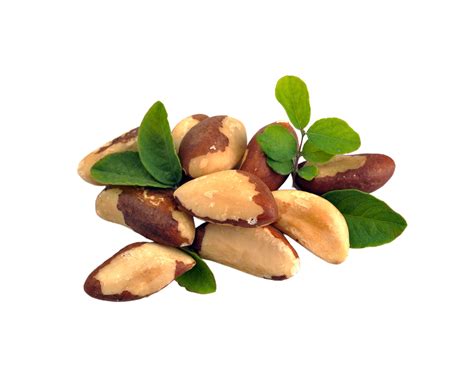 Brazil Nuts Lysine at Anna Octoman blog