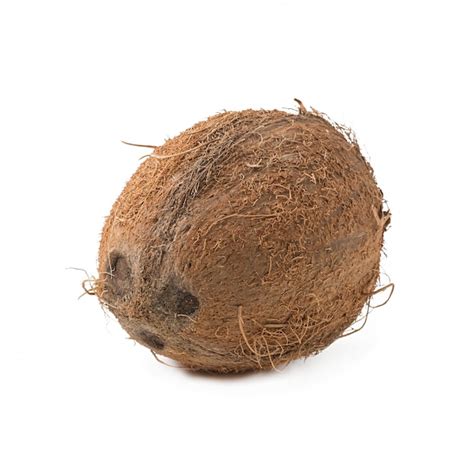 Coconut isolated on white background | Free Photo