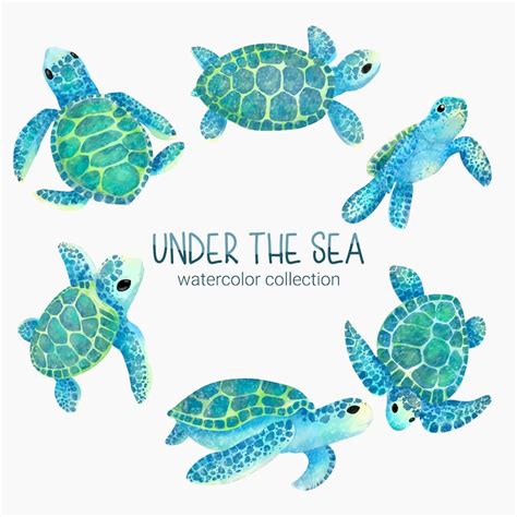 Sea turtle clip art Images - Free Download on Freepik
