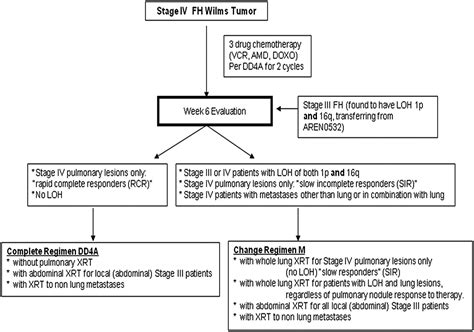 Wilms Tumor - Advances in Pediatrics