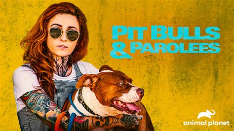 Watch Or Stream Pit Bulls & Parolees