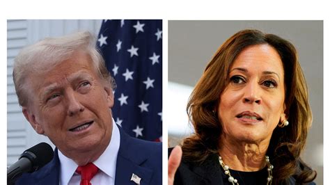 Kamala Harris slightly ahead of Donald Trump in election odds