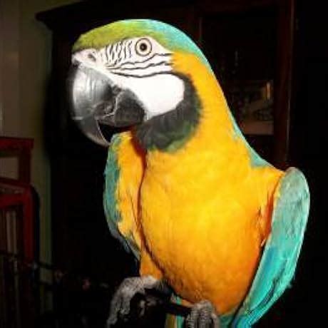 Marvelous Multiplication: Games and Activities That Make Math Easy and ...