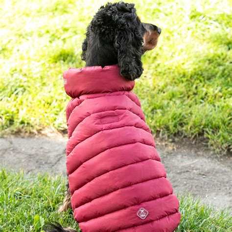 Forest Green & Gold Dog Puffer Jacket – Hugo & Hudson London