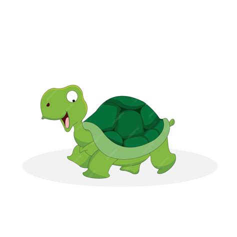 Image result for Turtle Shell Front Back