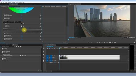 Image result for Paint Shop Pro Color Correction Tutorial