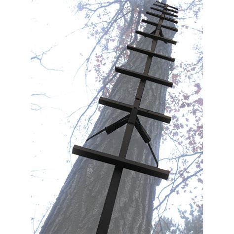Image result for Tree Stand Ladder Sticks