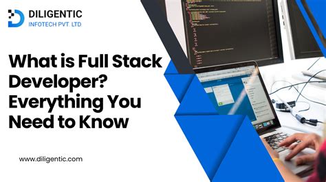 Who Is a Full Stack Developer 的图像结果