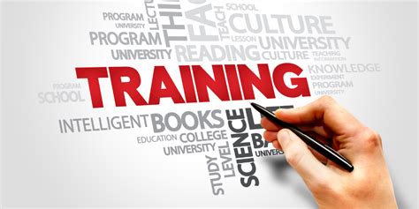 Training Check In 的图像结果