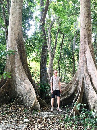 Saddle Peak National Park (Diglipur) - 2019 What to Know Before You Go ...