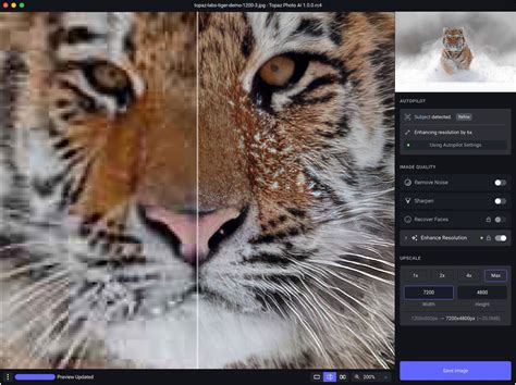 Topaz AI Tutorial 的图像结果