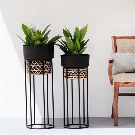 The Decor Remedy