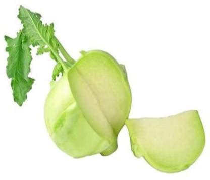 KANAYA Knol-Khol Vegetable Hybrid Quality Seed Price in India - Buy ...