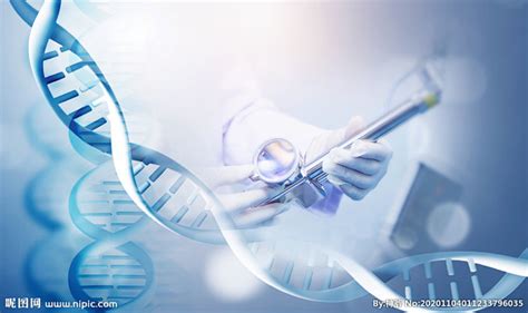 Dna双螺旋 的图像结果