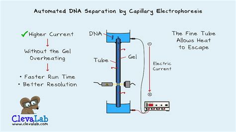 DNA Sequencing Technologies 的图像结果