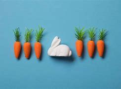 Image result for What Does Easter Bunny Look Like