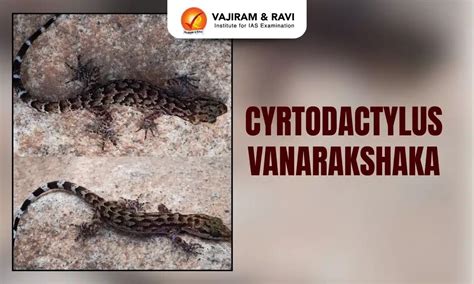 Cyrtodactylus Vanarakshaka, Discovery, Habitat, Latest News