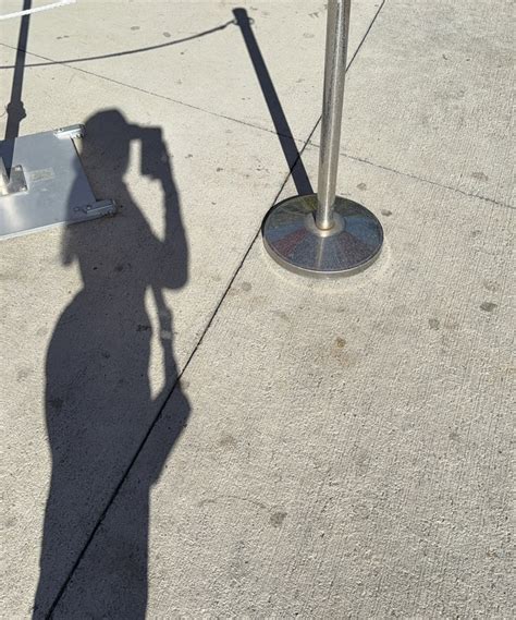 krissy spaulding | just me and my dawgs🤞🏼 | Instagram