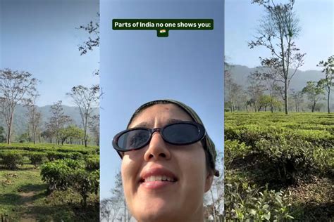 Hidden in plain sight: Woman’s Assam tea garden video reveals a side of ...